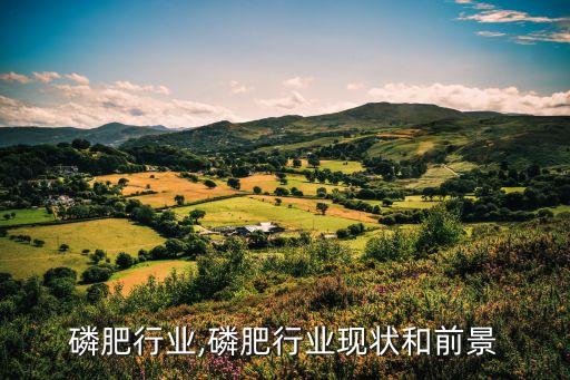 磷肥行业,磷肥行业现状和前景
