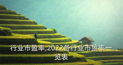 全球行业市盈率,2022各行业市盈率一览表