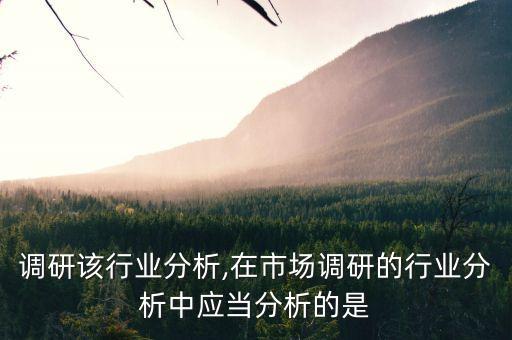 调研该行业分析,在市场调研的行业分析中应当分析的是