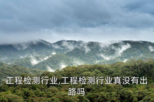 技术工程检测行业,工程检测行业真没有出路吗