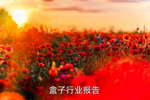 盒子行业报告