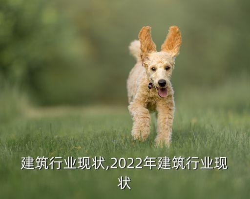 建筑行业现状,2022年建筑行业现状