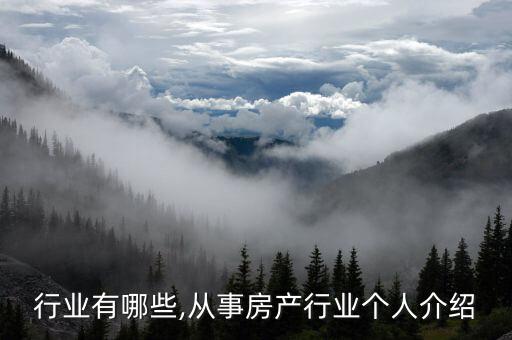 行业有哪些,从事房产行业个人介绍