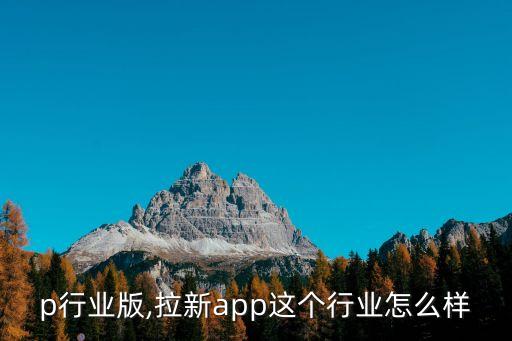 app行业版,拉新app这个行业怎么样