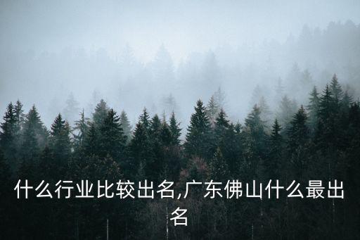 什么行业比较出名,广东佛山什么最出名