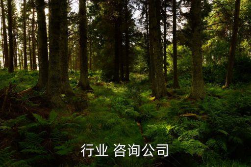 行业 咨询公司