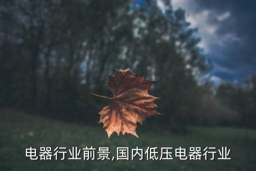 电器行业前景,国内低压电器行业