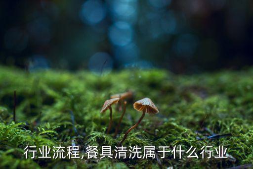 餐具行业流程,餐具清洗属于什么行业