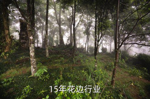15年花边行业