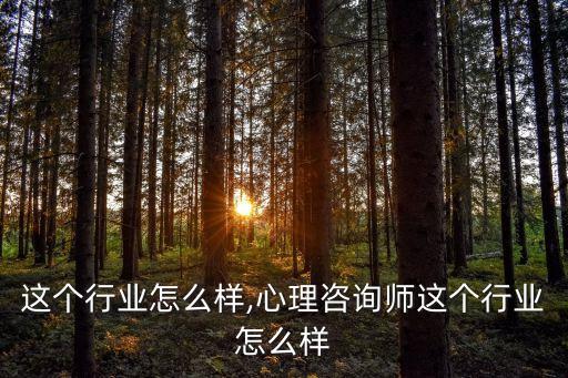 车载这个行业怎么样,心理咨询师这个行业怎么样