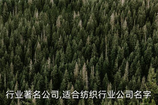 行业著名公司,适合纺织行业公司名字