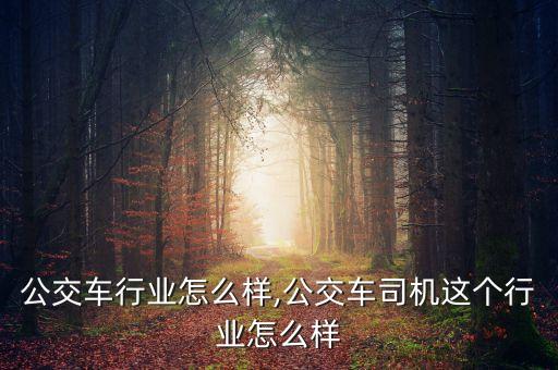 未来公交车行业怎么样,公交车司机这个行业怎么样