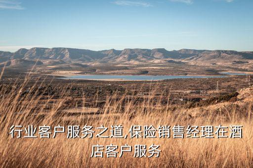 保险行业客户服务之道,保险销售经理在酒店客户服务