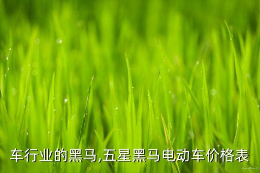 车行业的黑马,五星黑马电动车价格表