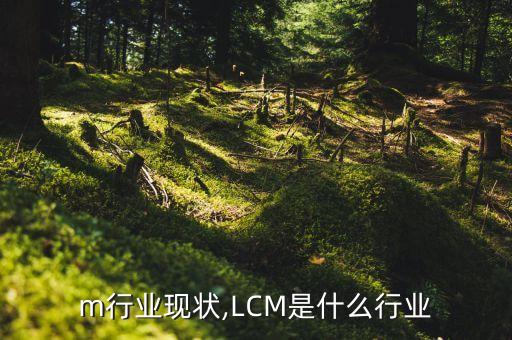 lcm行业现状,LCM是什么行业