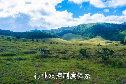 行业双控制度体系