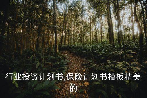 保险行业投资计划书,保险计划书模板精美的