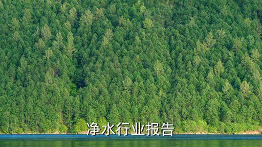 商用净水行业报告