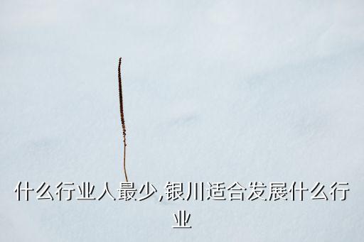 银川什么行业人最少,银川适合发展什么行业