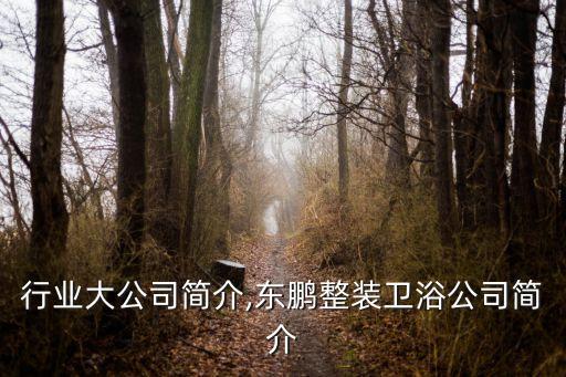 行业大公司简介,东鹏整装卫浴公司简介
