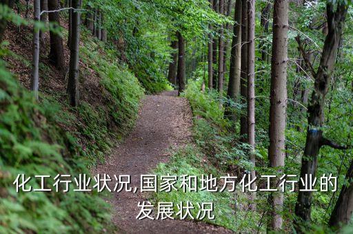 农业化工行业状况,国家和地方化工行业的发展状况