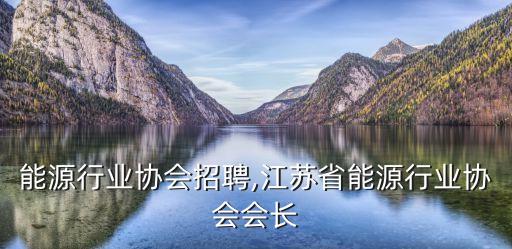 北京能源行业协会招聘,江苏省能源行业协会会长