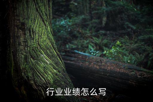 餐饮行业业绩怎么写