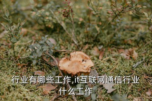 行业有哪些工作,it互联网通信行业什么工作