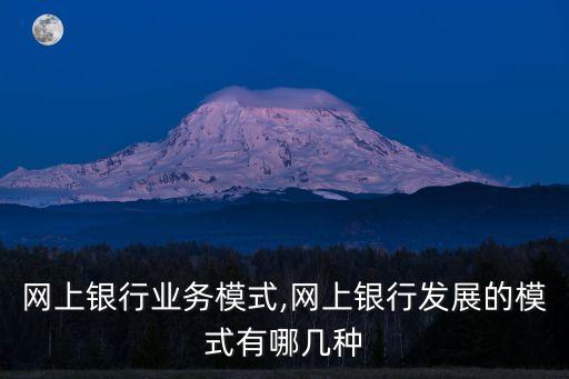 网上银行业务模式,网上银行发展的模式有哪几种