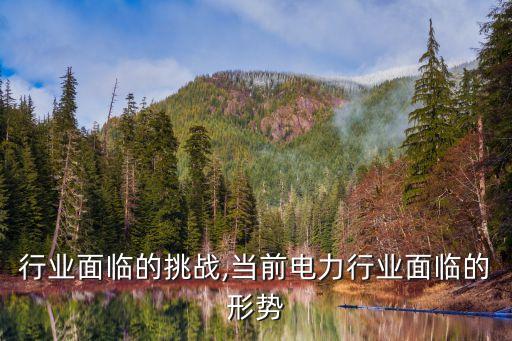 电力行业面临的挑战,当前电力行业面临的形势