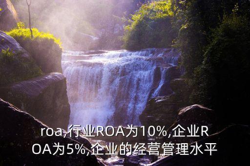 行业roa,行业ROA为10%,企业ROA为5%,企业的经营管理水平