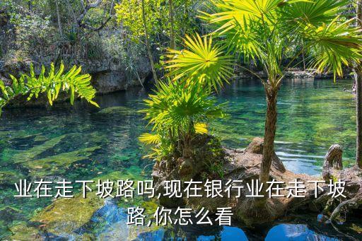 业在走下坡路吗,现在银行业在走下坡路,你怎么看