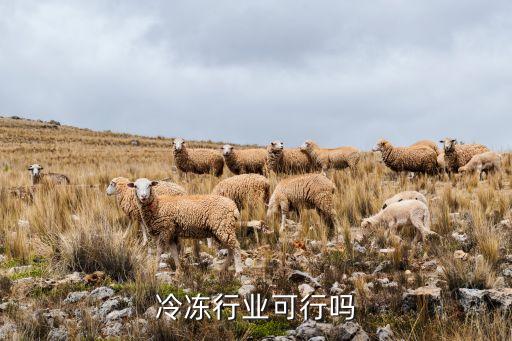冷冻行业可行吗