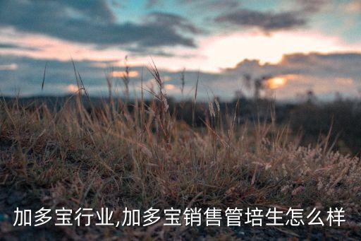 销售加多宝行业,加多宝销售管培生怎么样