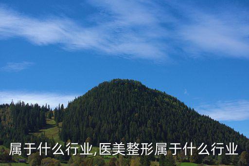 属于什么行业,医美整形属于什么行业