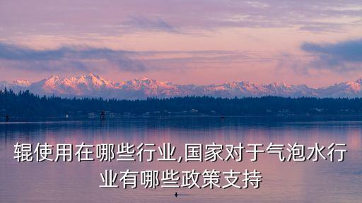 辊使用在哪些行业,国家对于气泡水行业有哪些政策支持
