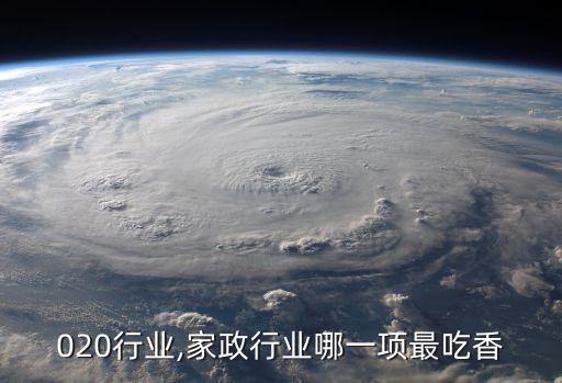 020行业,家政行业哪一项最吃香