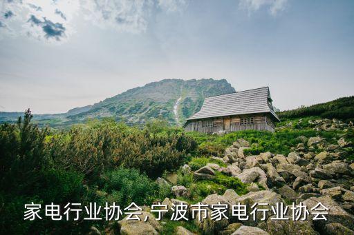 家电行业协会,宁波市家电行业协会