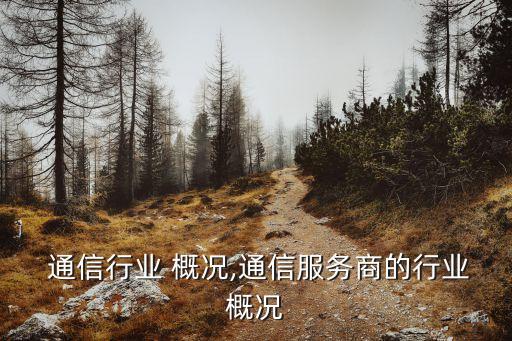  通信行业 概况,通信服务商的行业概况