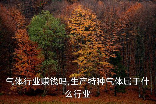 气体行业赚钱吗,生产特种气体属于什么行业