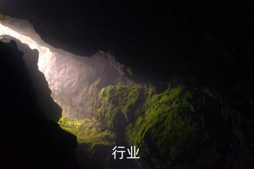 今天行业