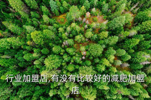 减肥行业加盟店,有没有比较好的减肥加盟店