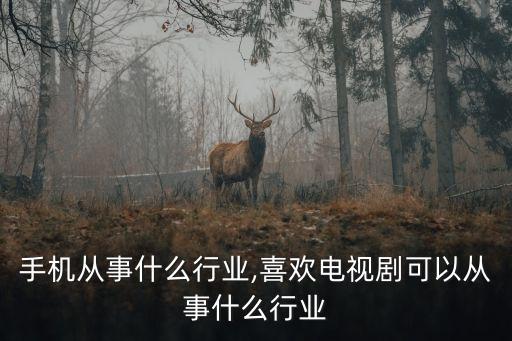 手机从事什么行业,喜欢电视剧可以从事什么行业