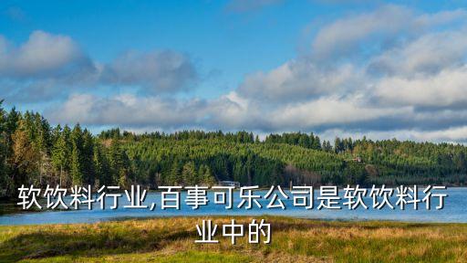 软饮料行业,百事可乐公司是软饮料行业中的