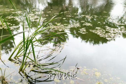 行业认证