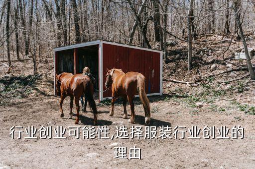 行业创业可能性,选择服装行业创业的理由