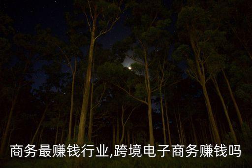 商务最赚钱行业,跨境电子商务赚钱吗