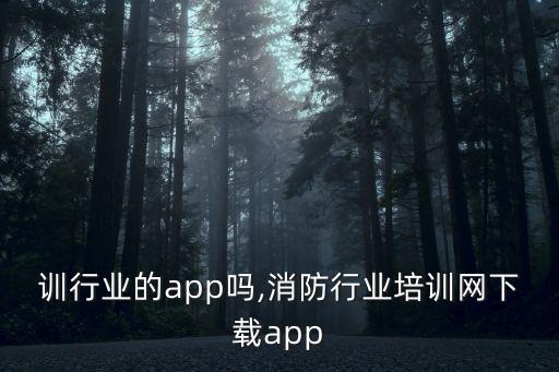 有培训行业的app吗,消防行业培训网下载app