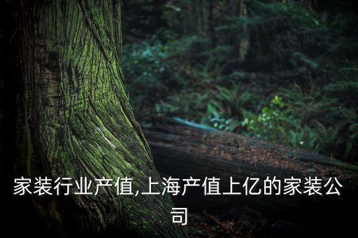 上海家装行业产值,上海产值上亿的家装公司
