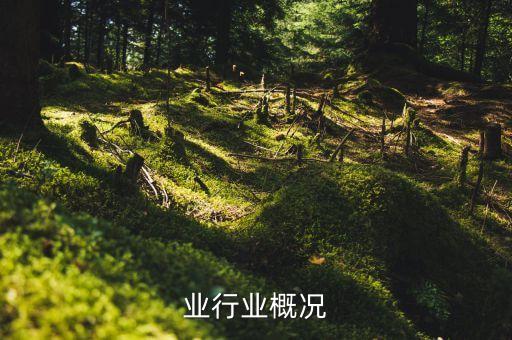 证券业行业概况